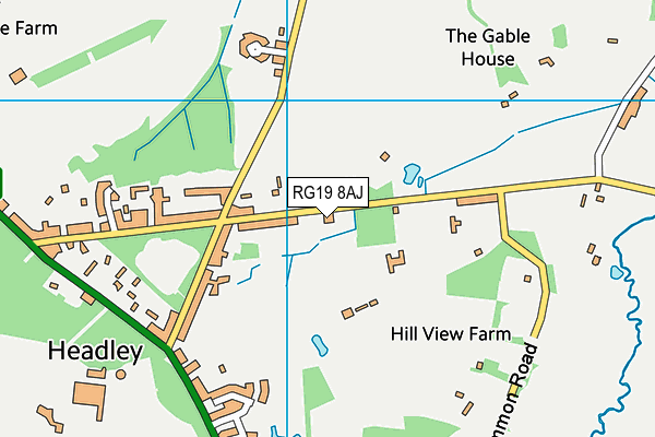 RG19 8AJ map - OS VectorMap District (Ordnance Survey)