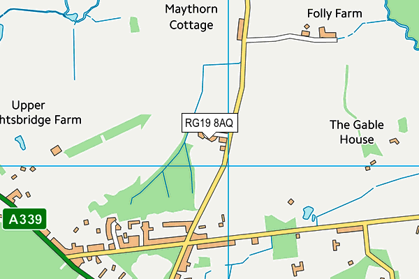 RG19 8AQ map - OS VectorMap District (Ordnance Survey)