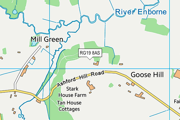 RG19 8AS map - OS VectorMap District (Ordnance Survey)