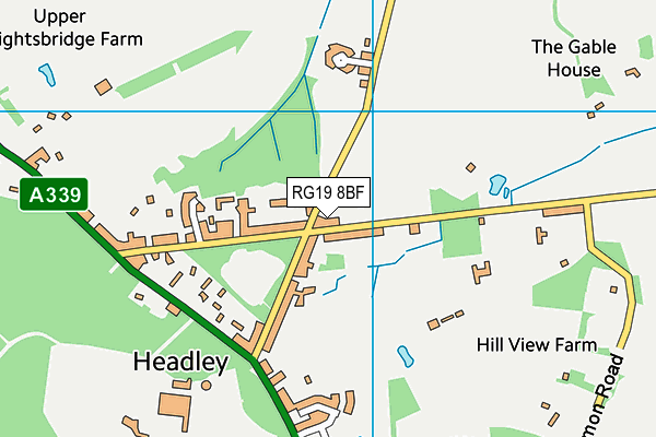 RG19 8BF map - OS VectorMap District (Ordnance Survey)