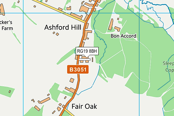 RG19 8BH map - OS VectorMap District (Ordnance Survey)