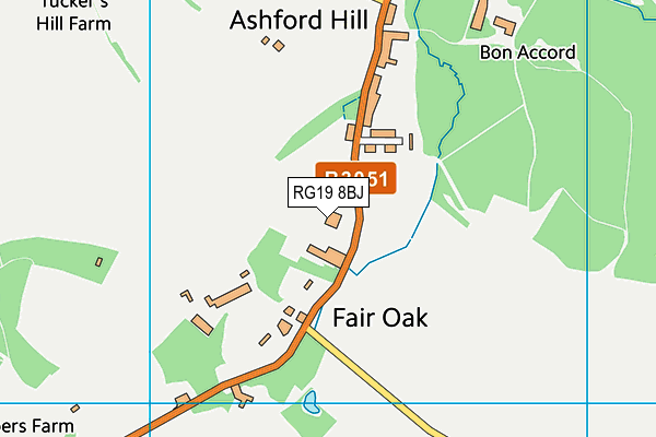 RG19 8BJ map - OS VectorMap District (Ordnance Survey)