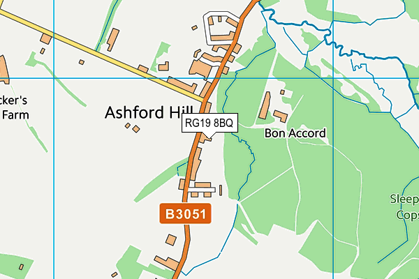 RG19 8BQ map - OS VectorMap District (Ordnance Survey)