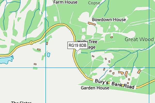 RG19 8DB map - OS VectorMap District (Ordnance Survey)