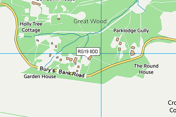 RG19 8DD map - OS VectorMap District (Ordnance Survey)