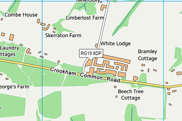 RG19 8DP map - OS VectorMap District (Ordnance Survey)