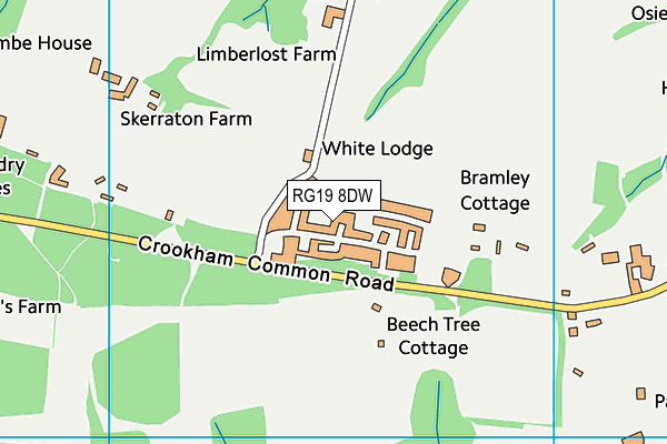 RG19 8DW map - OS VectorMap District (Ordnance Survey)