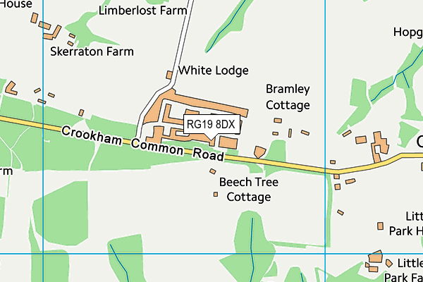 RG19 8DX map - OS VectorMap District (Ordnance Survey)