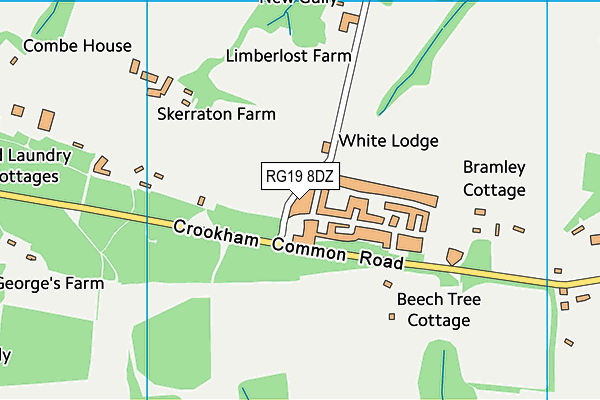 RG19 8DZ map - OS VectorMap District (Ordnance Survey)