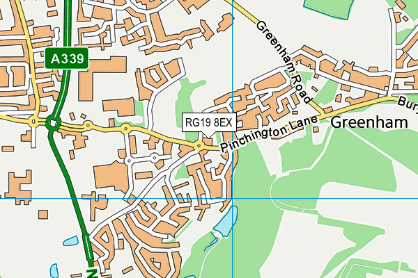 RG19 8EX map - OS VectorMap District (Ordnance Survey)
