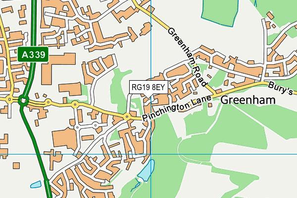 RG19 8EY map - OS VectorMap District (Ordnance Survey)