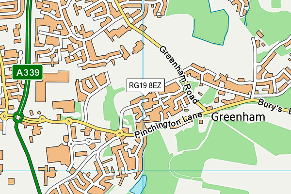RG19 8EZ map - OS VectorMap District (Ordnance Survey)
