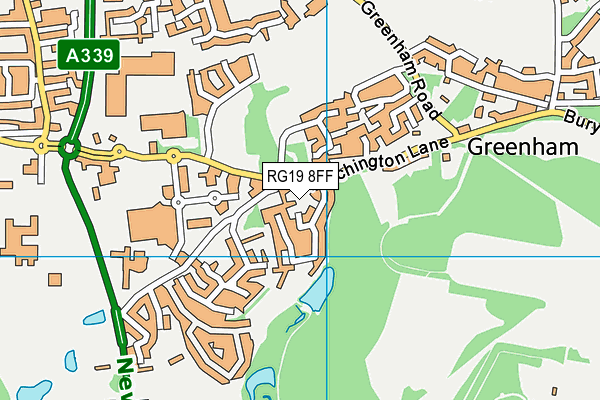 RG19 8FF map - OS VectorMap District (Ordnance Survey)