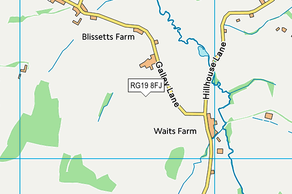 RG19 8FJ map - OS VectorMap District (Ordnance Survey)