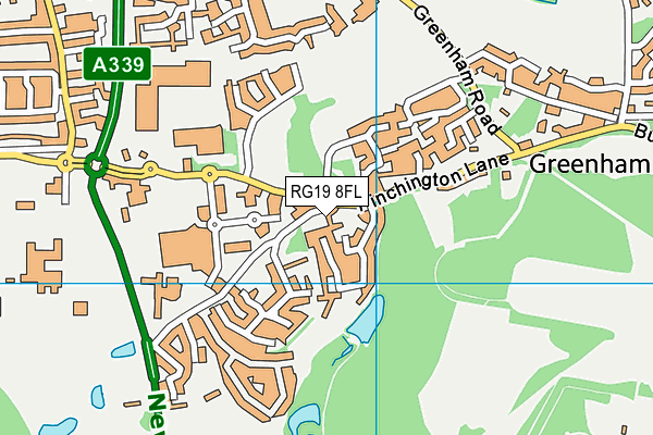 RG19 8FL map - OS VectorMap District (Ordnance Survey)