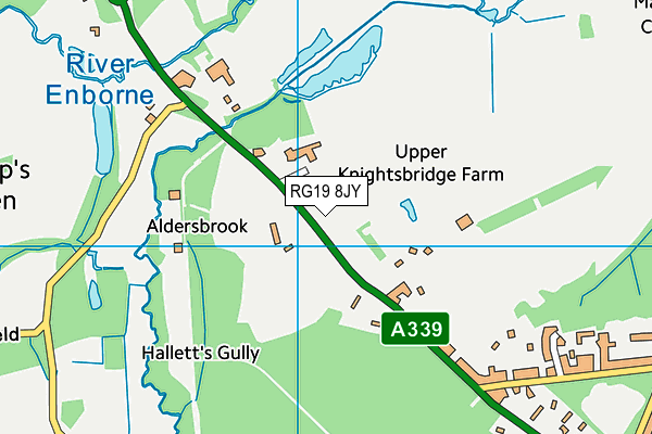 RG19 8JY map - OS VectorMap District (Ordnance Survey)