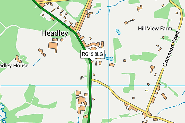 RG19 8LG map - OS VectorMap District (Ordnance Survey)