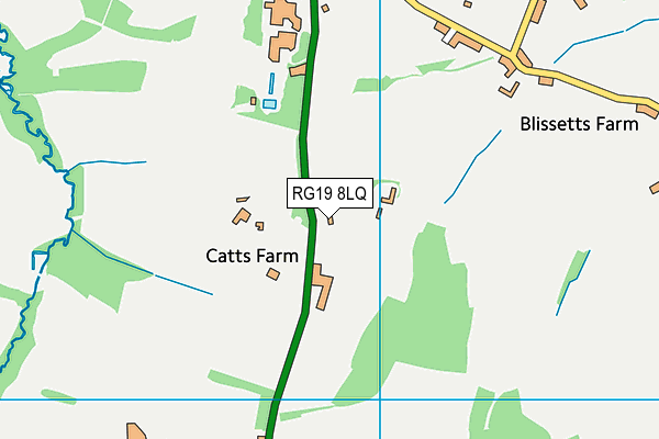 RG19 8LQ map - OS VectorMap District (Ordnance Survey)