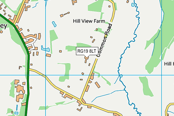 RG19 8LT map - OS VectorMap District (Ordnance Survey)