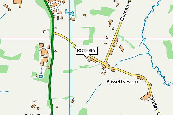 RG19 8LY map - OS VectorMap District (Ordnance Survey)