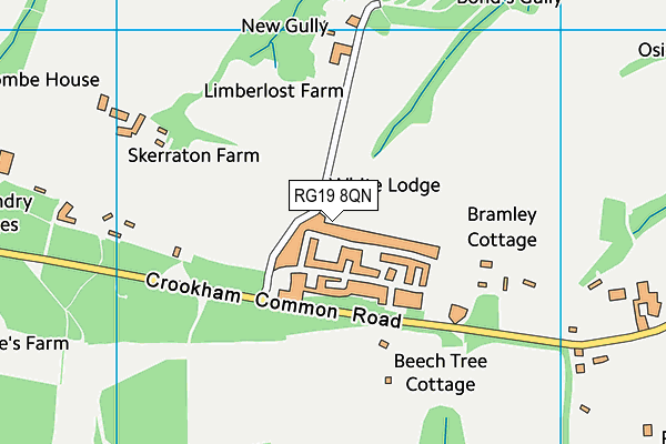 RG19 8QN map - OS VectorMap District (Ordnance Survey)