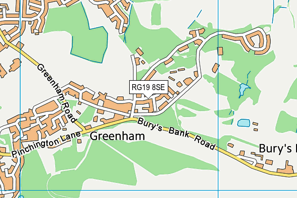 RG19 8SE map - OS VectorMap District (Ordnance Survey)