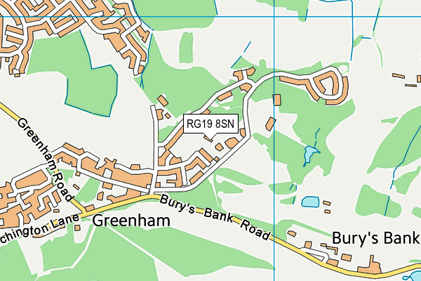 RG19 8SN map - OS VectorMap District (Ordnance Survey)