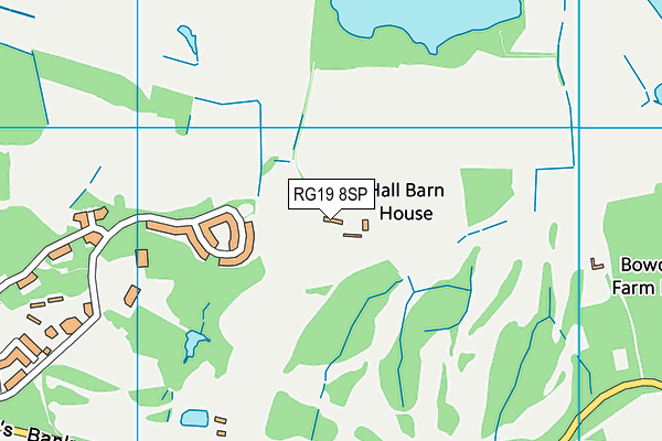 RG19 8SP map - OS VectorMap District (Ordnance Survey)