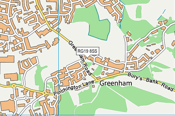 RG19 8SS map - OS VectorMap District (Ordnance Survey)