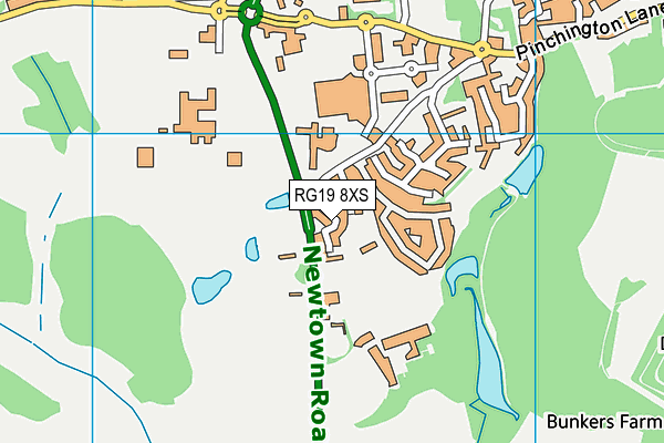 RG19 8XS map - OS VectorMap District (Ordnance Survey)
