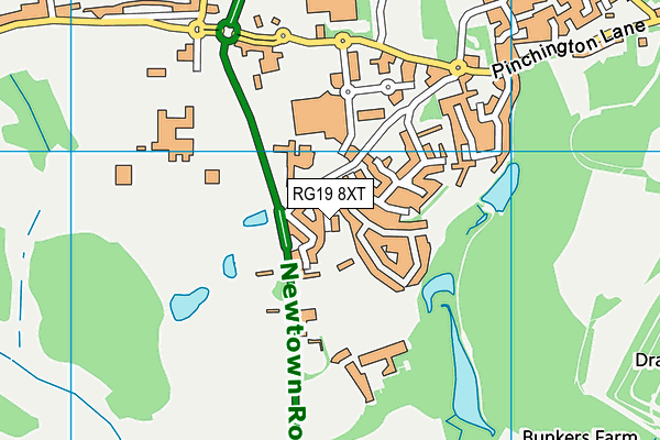 RG19 8XT map - OS VectorMap District (Ordnance Survey)