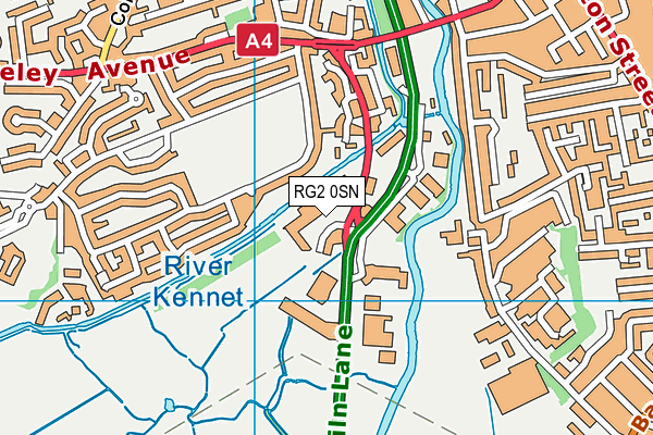 RG2 0SN map - OS VectorMap District (Ordnance Survey)