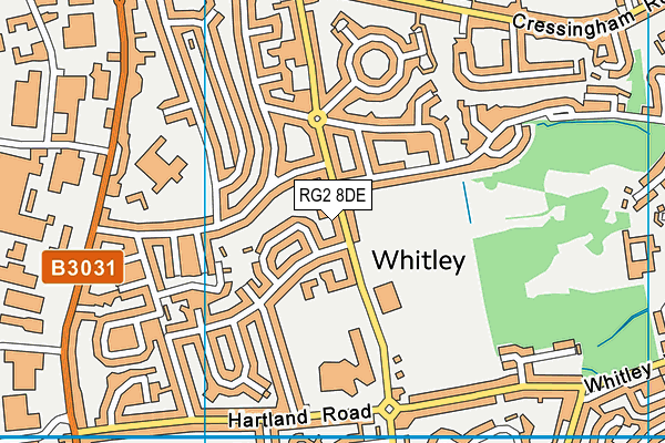 RG2 8DE map - OS VectorMap District (Ordnance Survey)