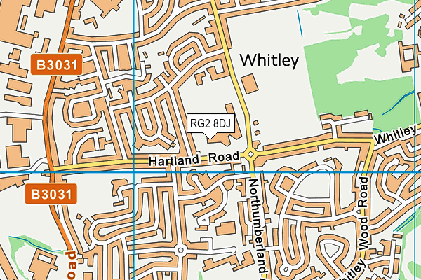 RG2 8DJ map - OS VectorMap District (Ordnance Survey)