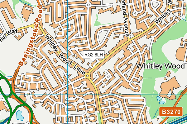 RG2 8LH map - OS VectorMap District (Ordnance Survey)