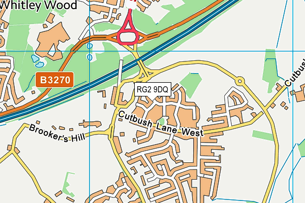 RG2 9DQ map - OS VectorMap District (Ordnance Survey)