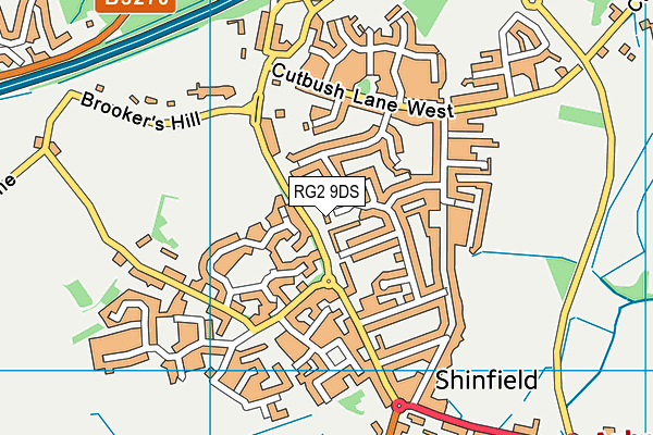 RG2 9DS map - OS VectorMap District (Ordnance Survey)