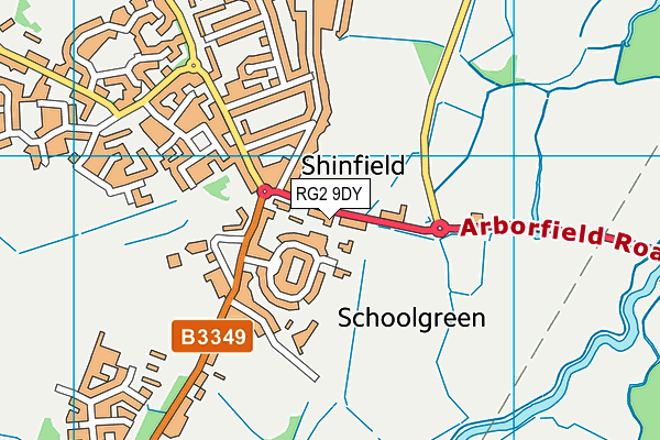 RG2 9DY map - OS VectorMap District (Ordnance Survey)