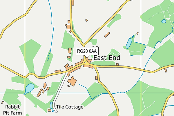 RG20 0AA map - OS VectorMap District (Ordnance Survey)