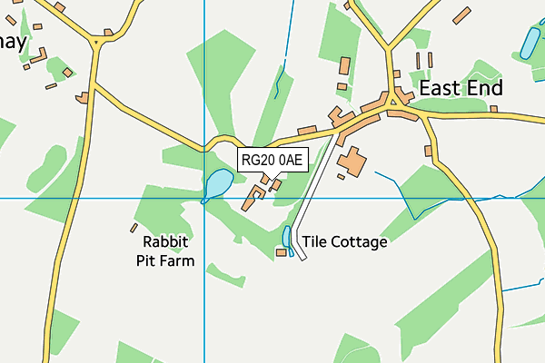 RG20 0AE map - OS VectorMap District (Ordnance Survey)