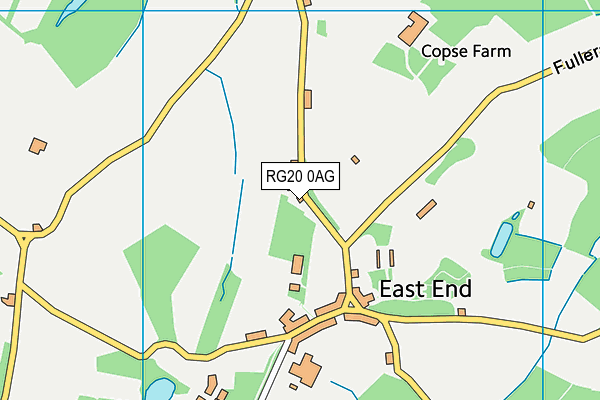 RG20 0AG map - OS VectorMap District (Ordnance Survey)