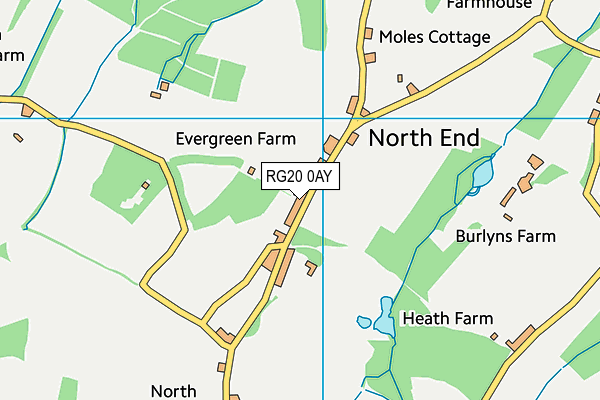 RG20 0AY map - OS VectorMap District (Ordnance Survey)