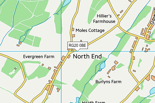 RG20 0BE map - OS VectorMap District (Ordnance Survey)