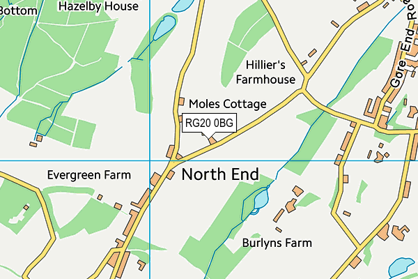 RG20 0BG map - OS VectorMap District (Ordnance Survey)