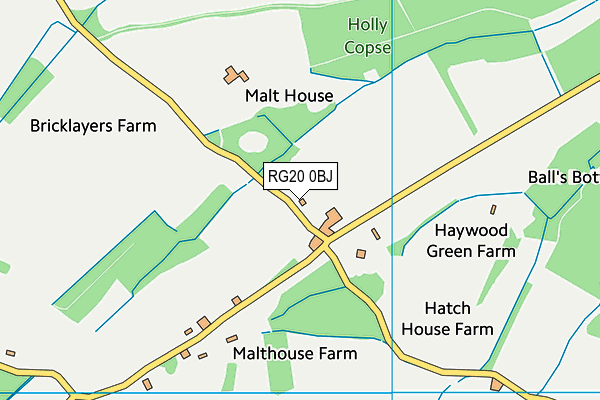 RG20 0BJ map - OS VectorMap District (Ordnance Survey)