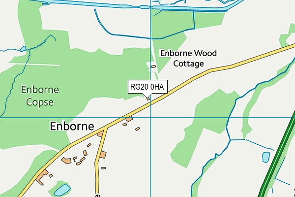 RG20 0HA map - OS VectorMap District (Ordnance Survey)