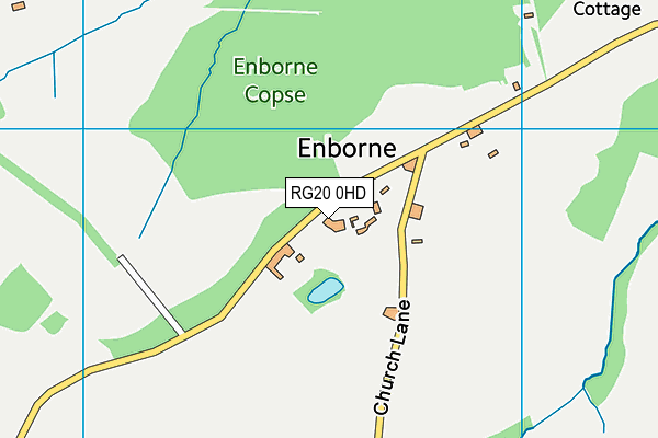 RG20 0HD map - OS VectorMap District (Ordnance Survey)