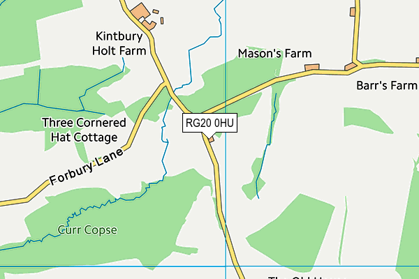 RG20 0HU map - OS VectorMap District (Ordnance Survey)