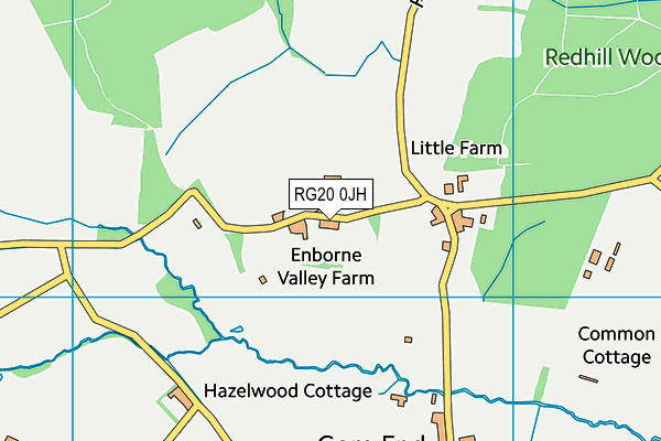 RG20 0JH map - OS VectorMap District (Ordnance Survey)