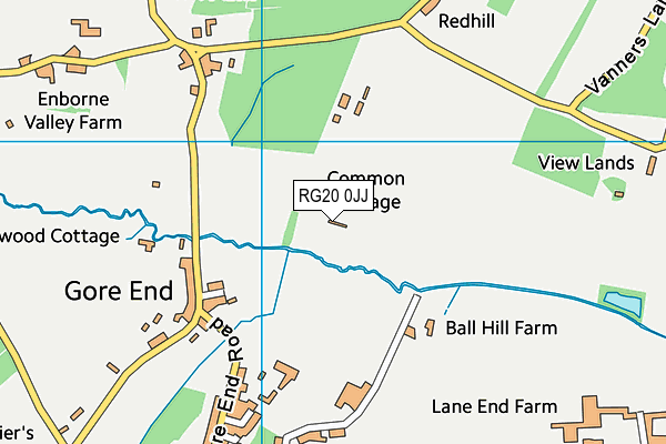 RG20 0JJ map - OS VectorMap District (Ordnance Survey)